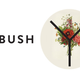 Illustration for article titled Project Bush Wants to Get Pics of Your Vulva
